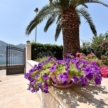 Maniva Penthouse By The Sea Apartment Kotor Exterior foto