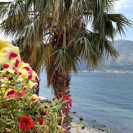 Maniva Penthouse By The Sea Apartment Kotor Exterior foto